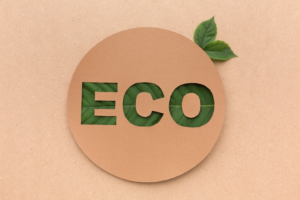 Emballage carton écologique