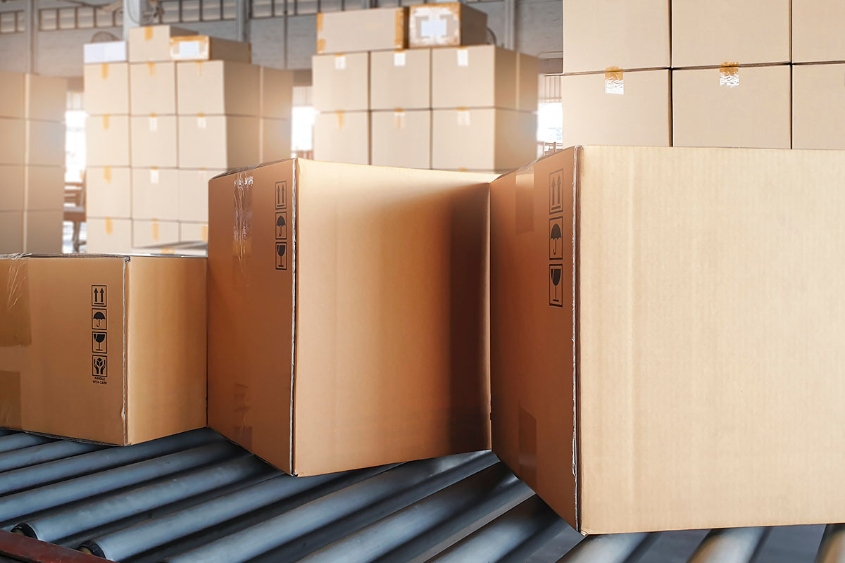 Emballage carton professionnel