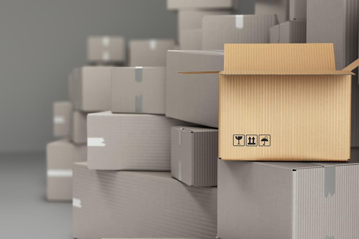 Emballage carton professionnel